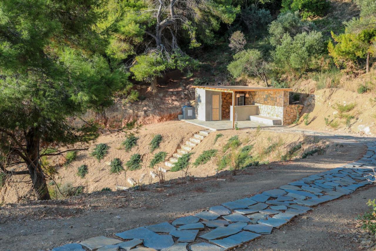 Thalasses Villas Skiathos Punta Zewnętrze zdjęcie