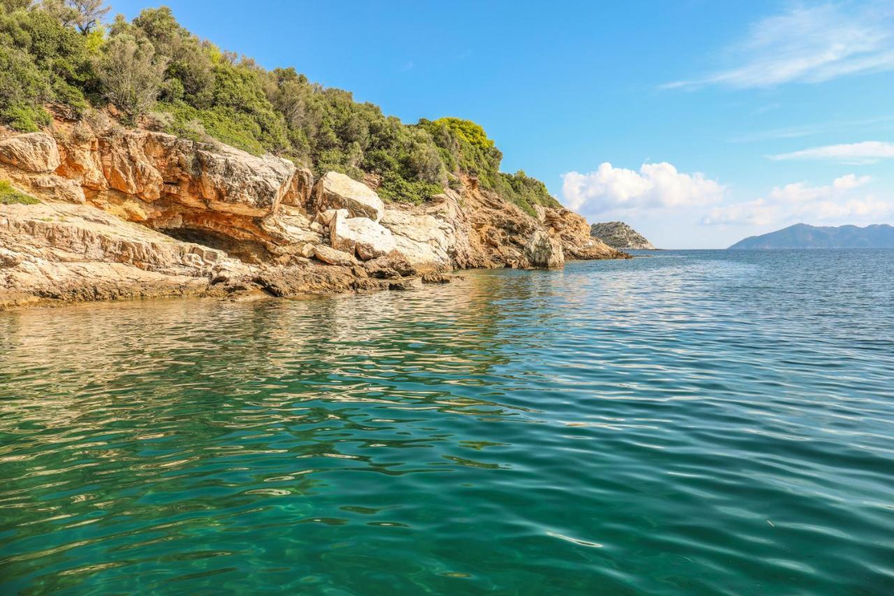 Thalasses Villas Skiathos Punta Zewnętrze zdjęcie