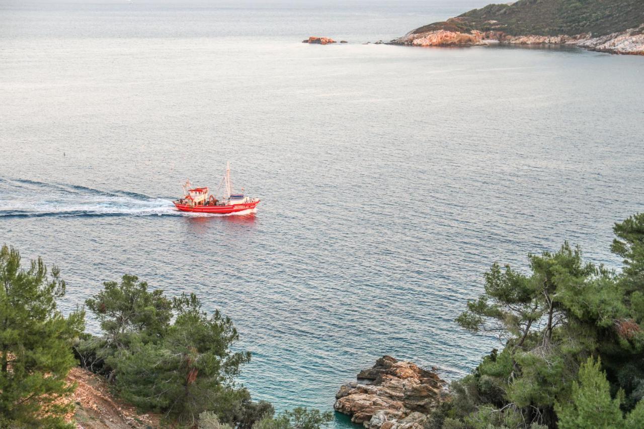 Thalasses Villas Skiathos Punta Zewnętrze zdjęcie